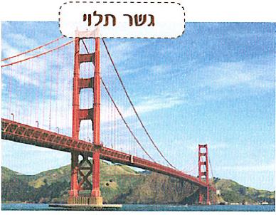 (בספר איורים)